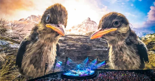 phish-sphere-weekend-one-clip-show-birds-keith-griner-04-18-26.webp
